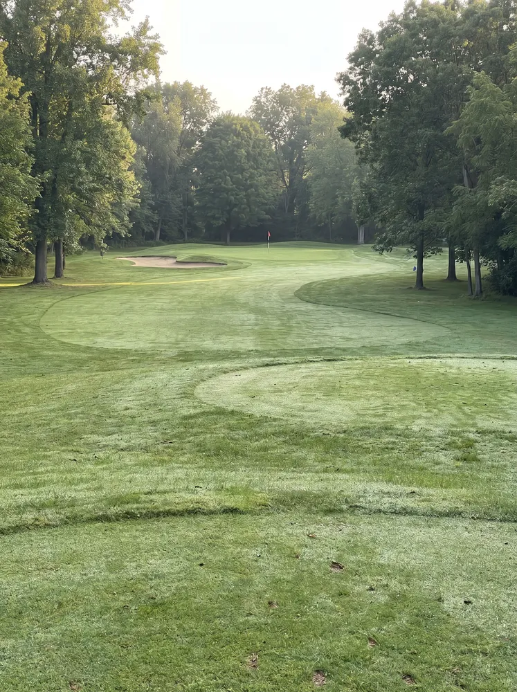 A parkland golf hole, tee view in morning light